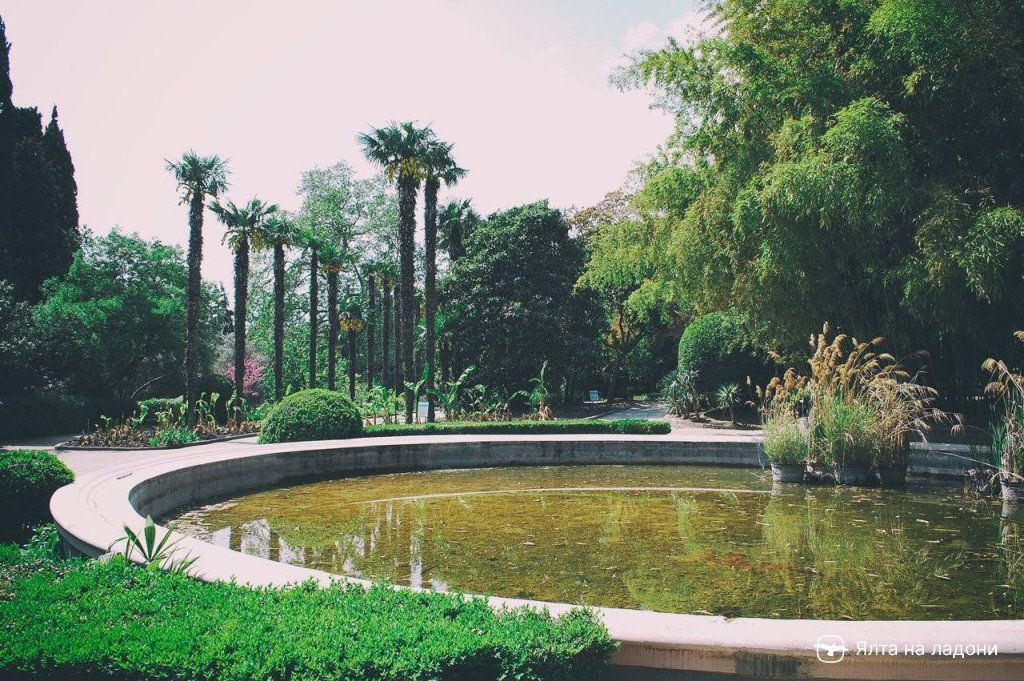 Никитский ботанический сад в Крыму