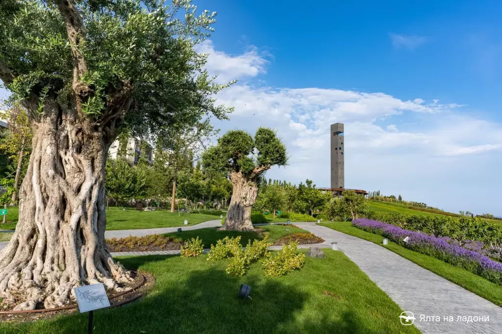 Винный парк Мрия в Крыму