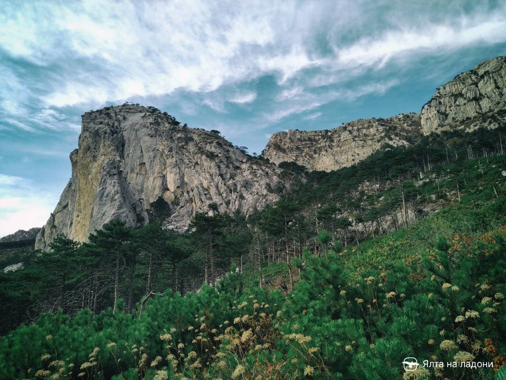Гора Шаан-Кая над Алупкой в Крыму