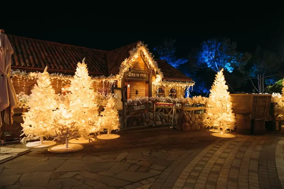 Новогодние каникулы в парке «Дримвуд» в Ялте