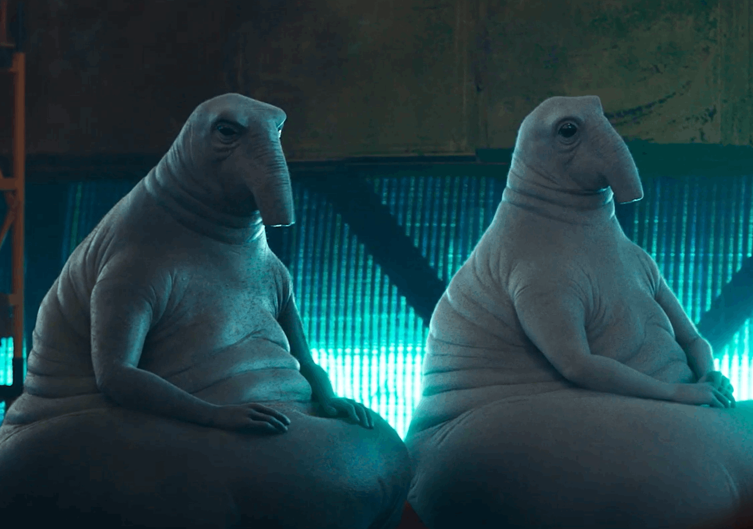 Фильм «Ждун 2» в Ялте