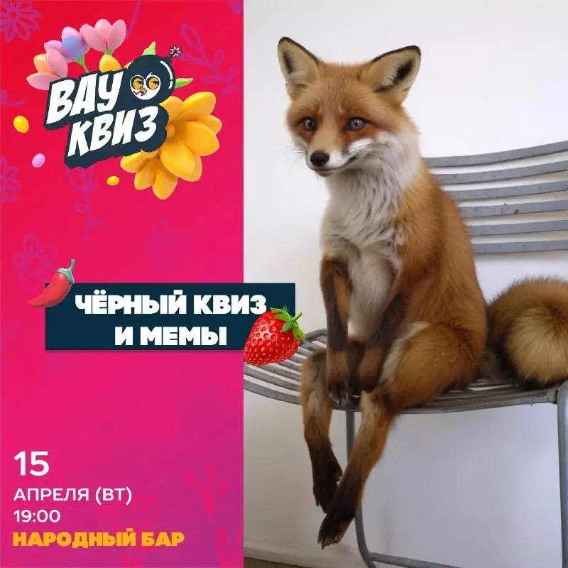 Вау квиз в Ялте, Народный бар