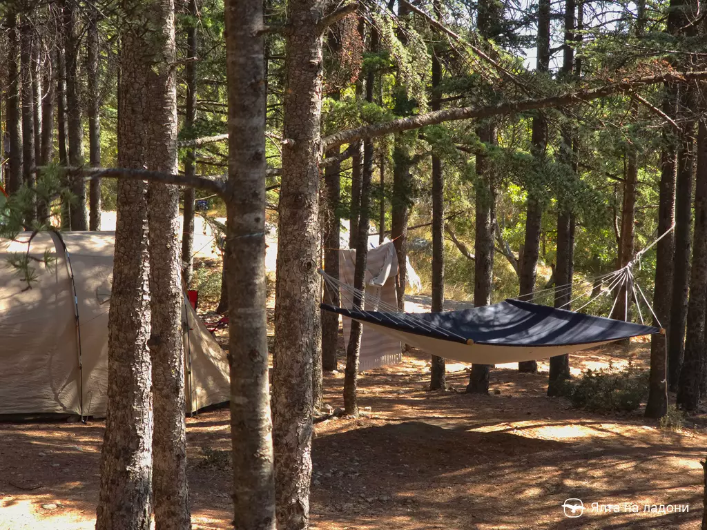 Кипарисовая роща в Крыму