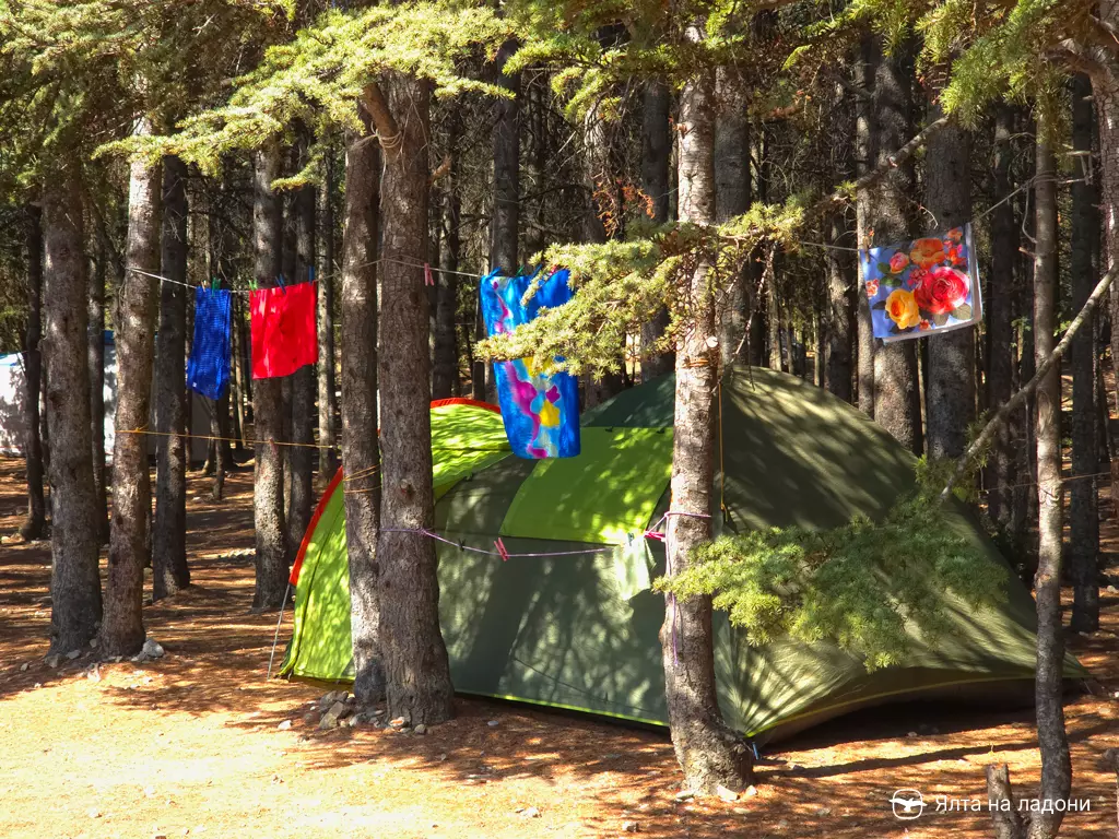 Кипарисовая роща в Крыму