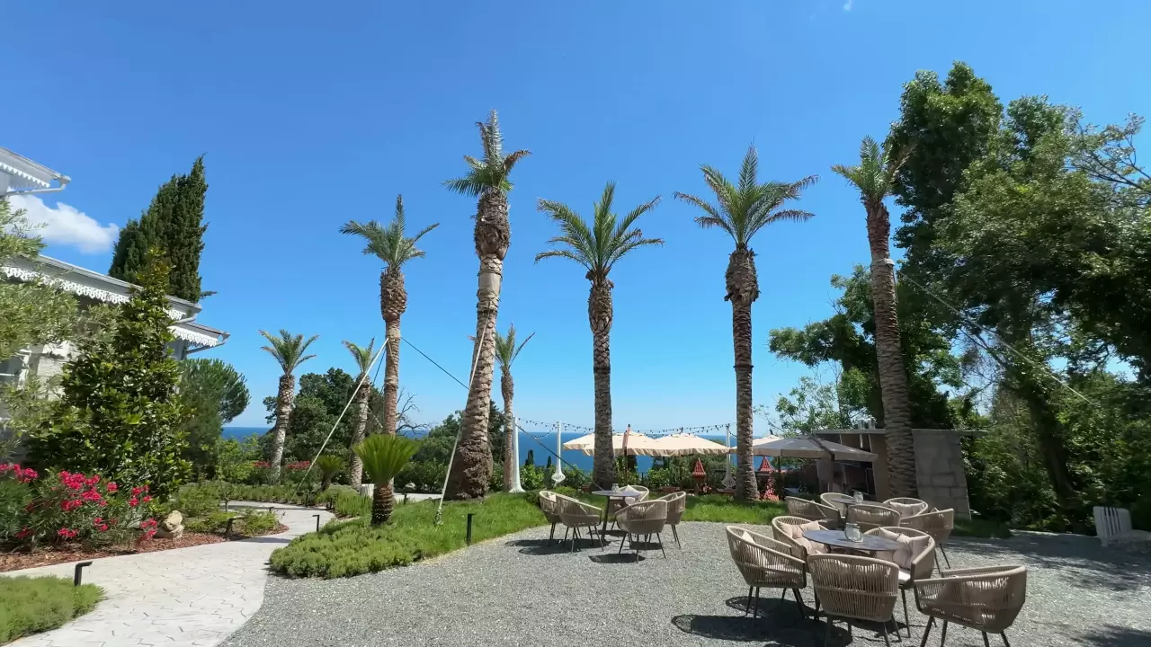 Пальмы у кафе на даче Аладьиной в Алупке, Крым