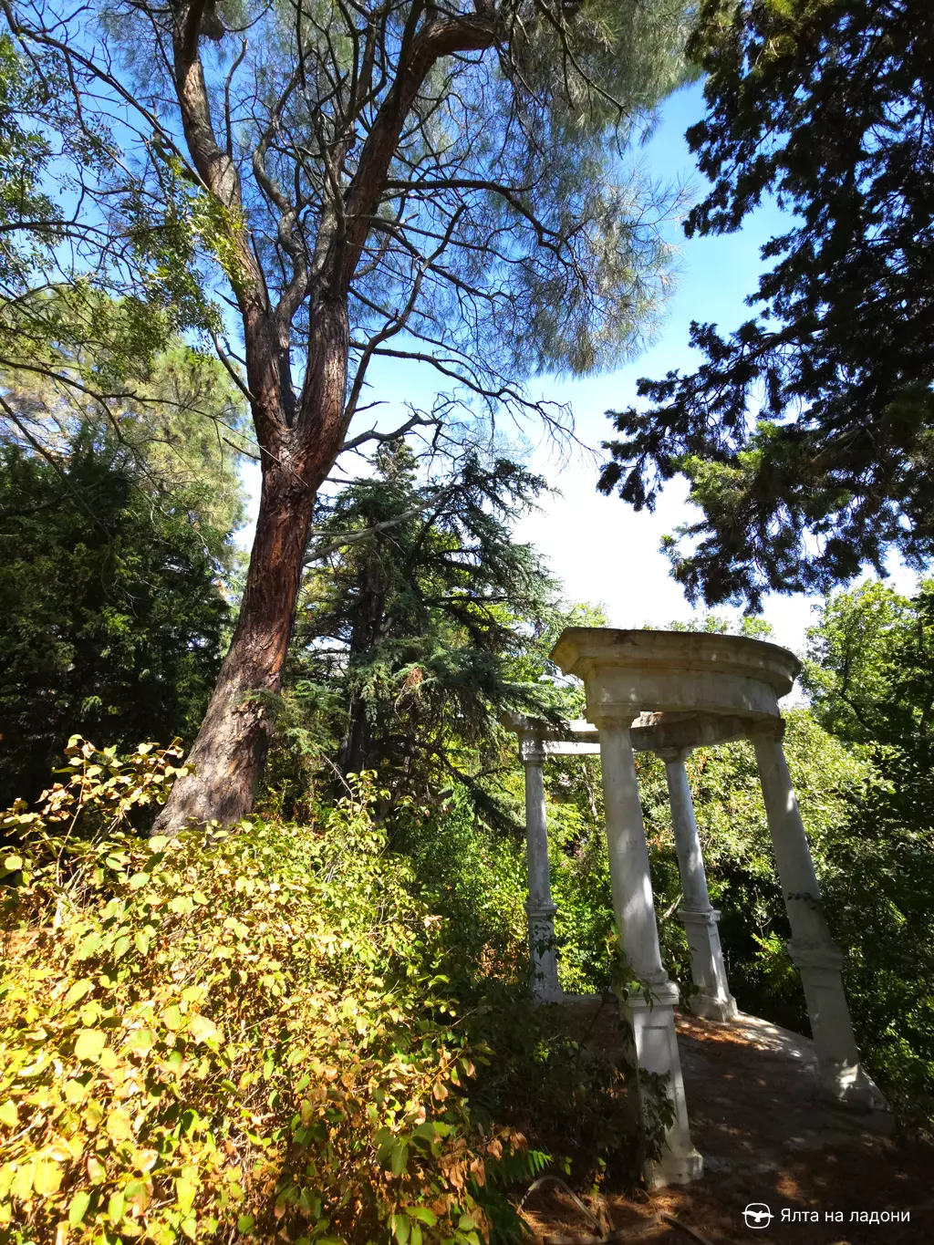 Дача Александра Митрофановича Остроумова в Ялте, улица Халтурина, 32