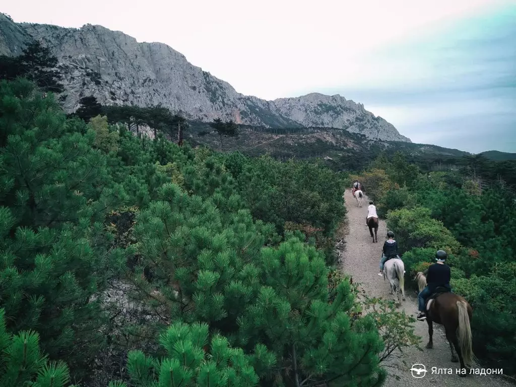 Конные прогулки в горы, Крым