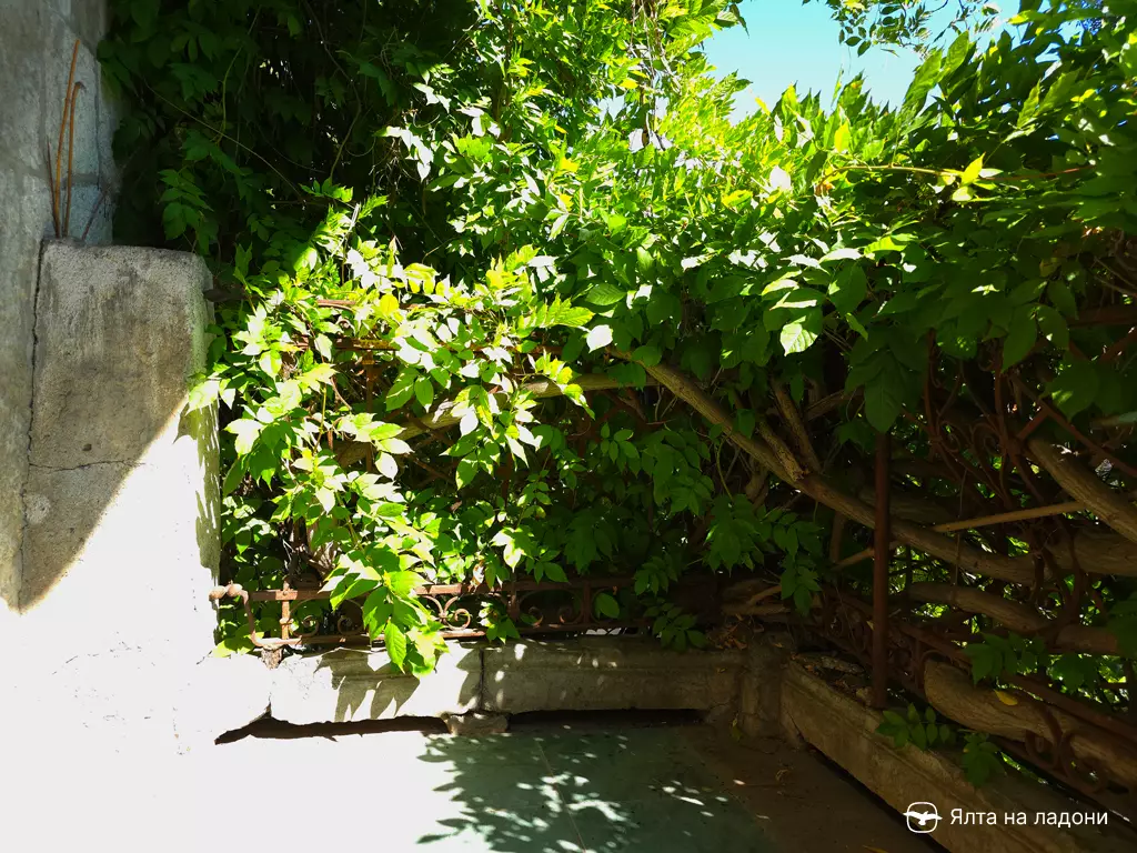 Дача «Серые дрозды» в Крыму