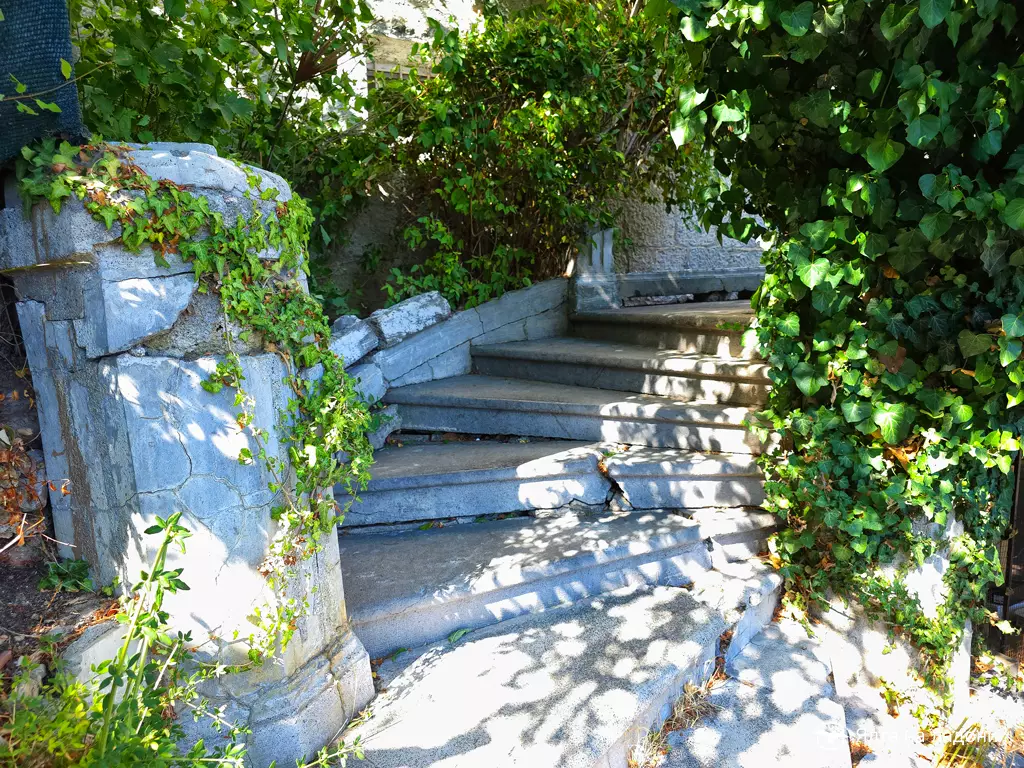 Дача «Серые дрозды» в Крыму