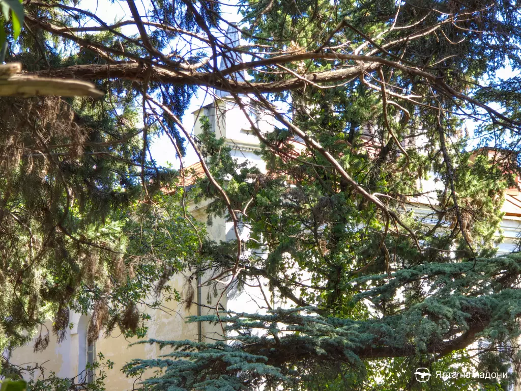 Усадьба Масловых в Крыму