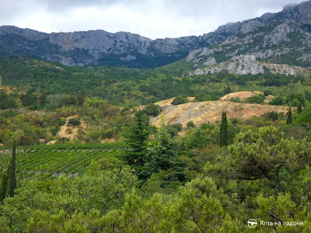 Милютинский парк в Крыму