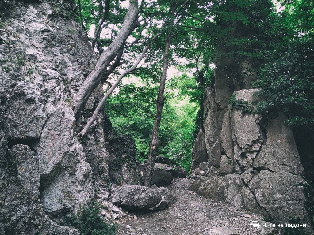 Расщелина у горы Хачла-Каясы в Крыму