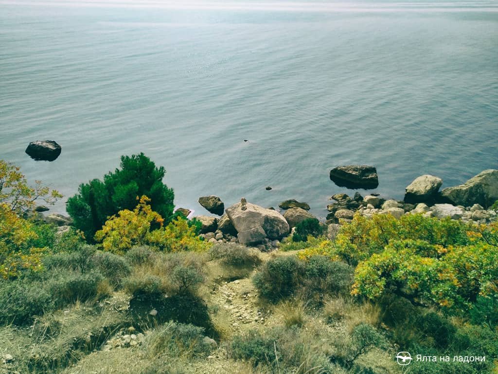 Нудистский пляж у мыса Гусиный в Крыму