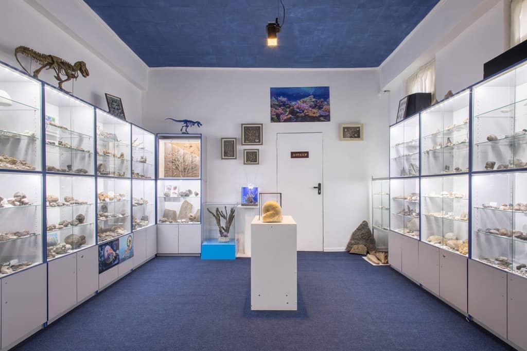 Палеонтологический музей в Крыму