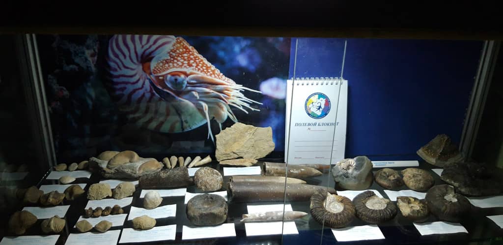 Палеонтологический музей в Ливадии, Ялта, Крым