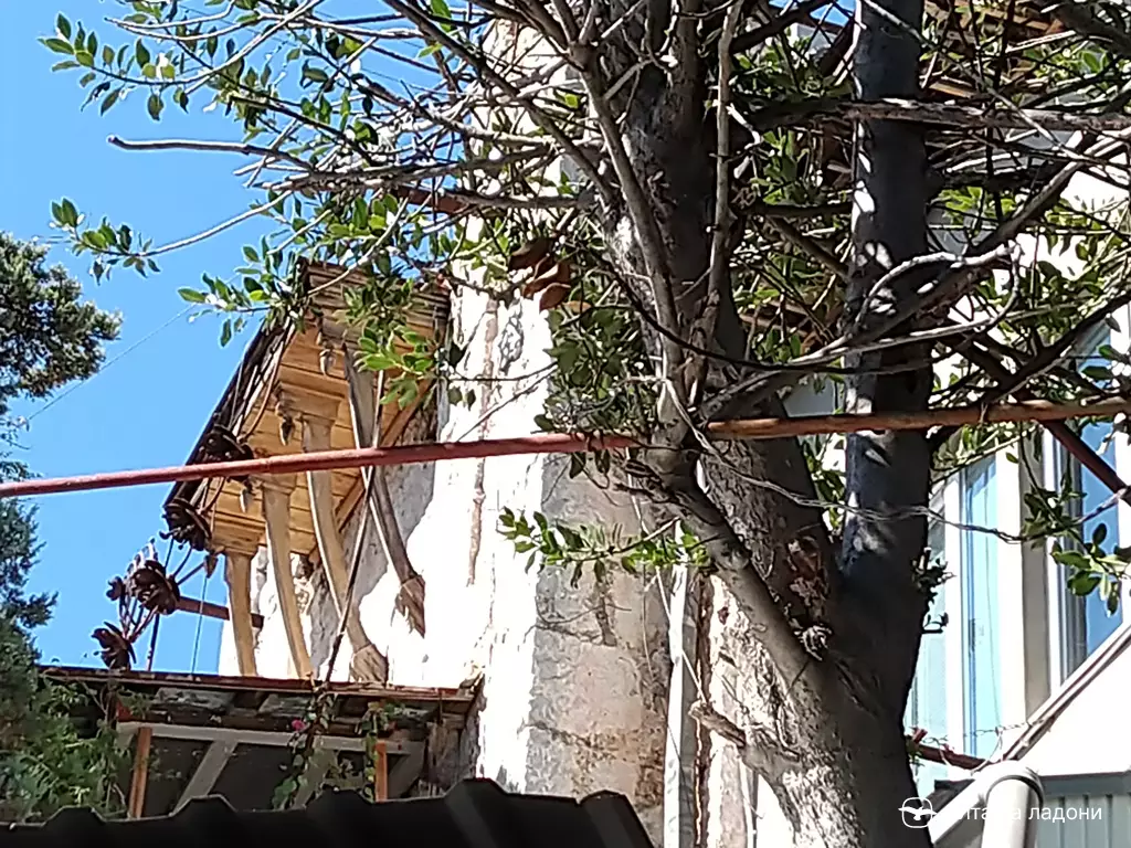 Маки на фасаде дачи Пузановых в Симеизе