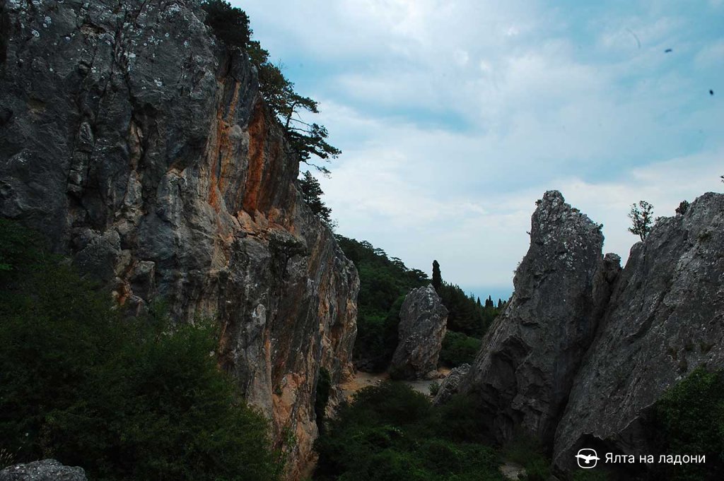 Никитская расщелина в Крыму