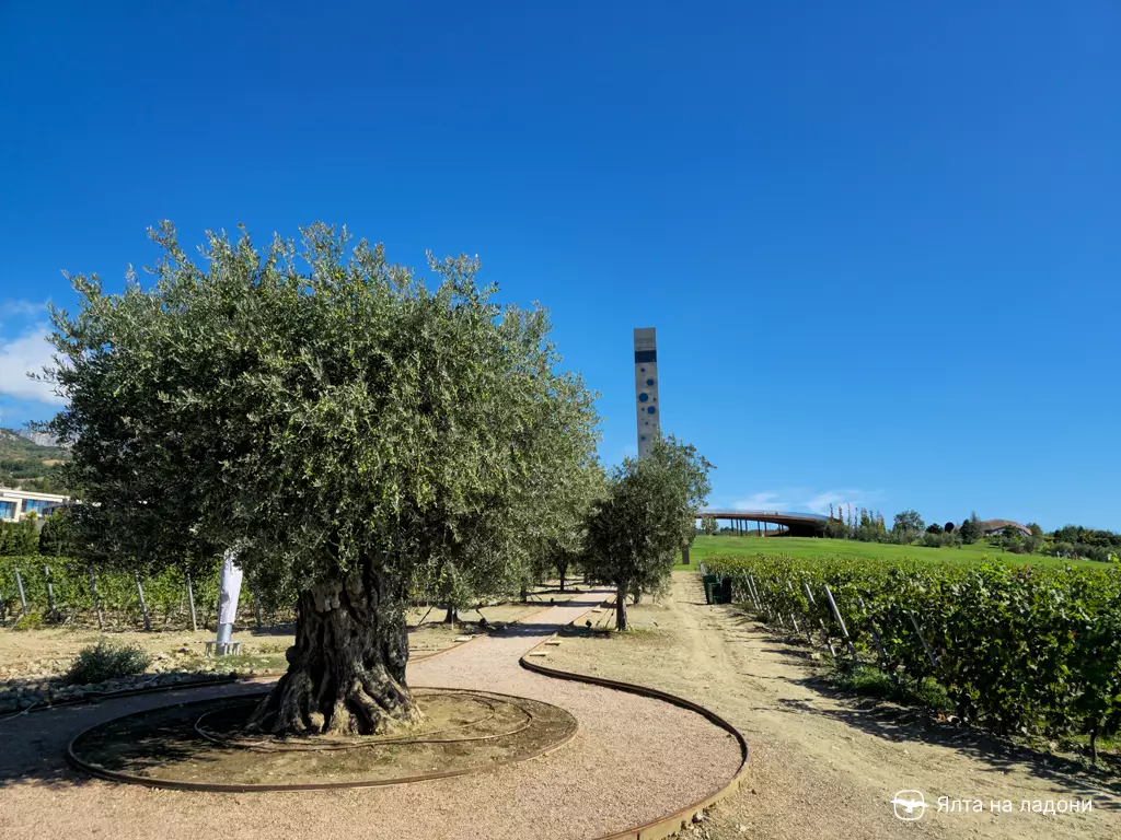 Винный парк «Winepark» в Крыму