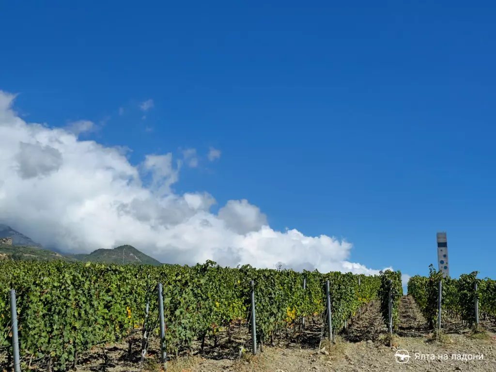 Винный парк «Winepark» в Крыму