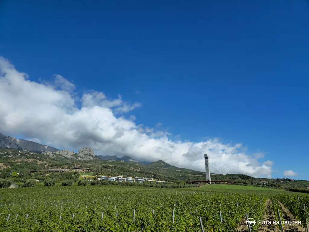 Винный парк «Winepark» в Крыму