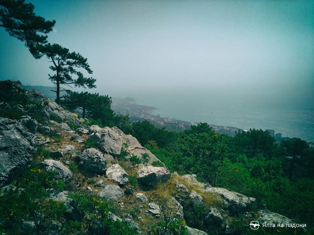 Вид на Гаспру и Кореиз с горы Крестовая в Крыму