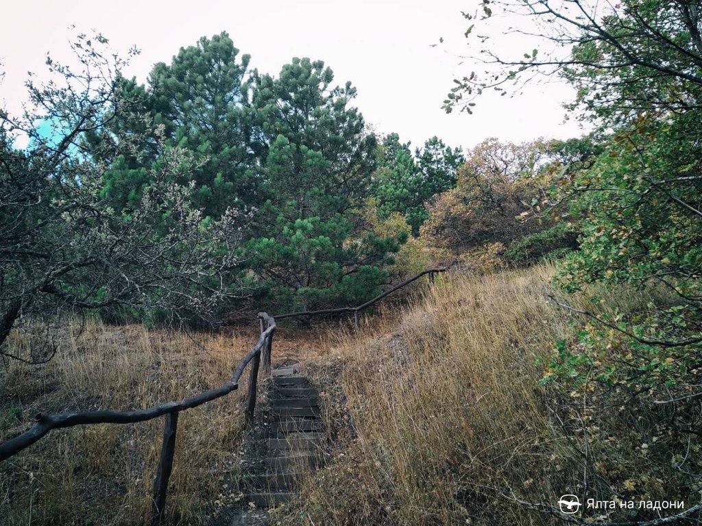 Лестница с перилами на тропе Биюк Исар в Крыму