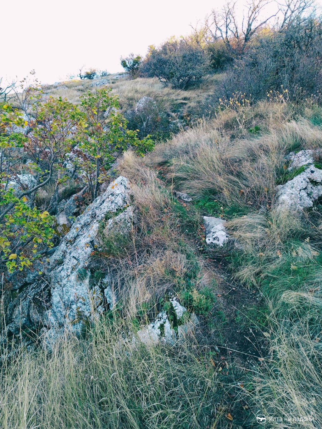 Тропа по склону горы Биюк-Исар в Крыму