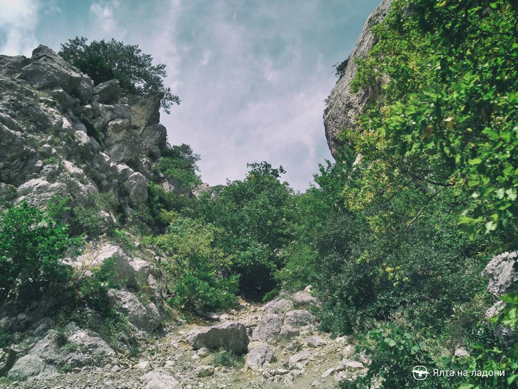Русло каменной реки на тропе Скобы, Крым