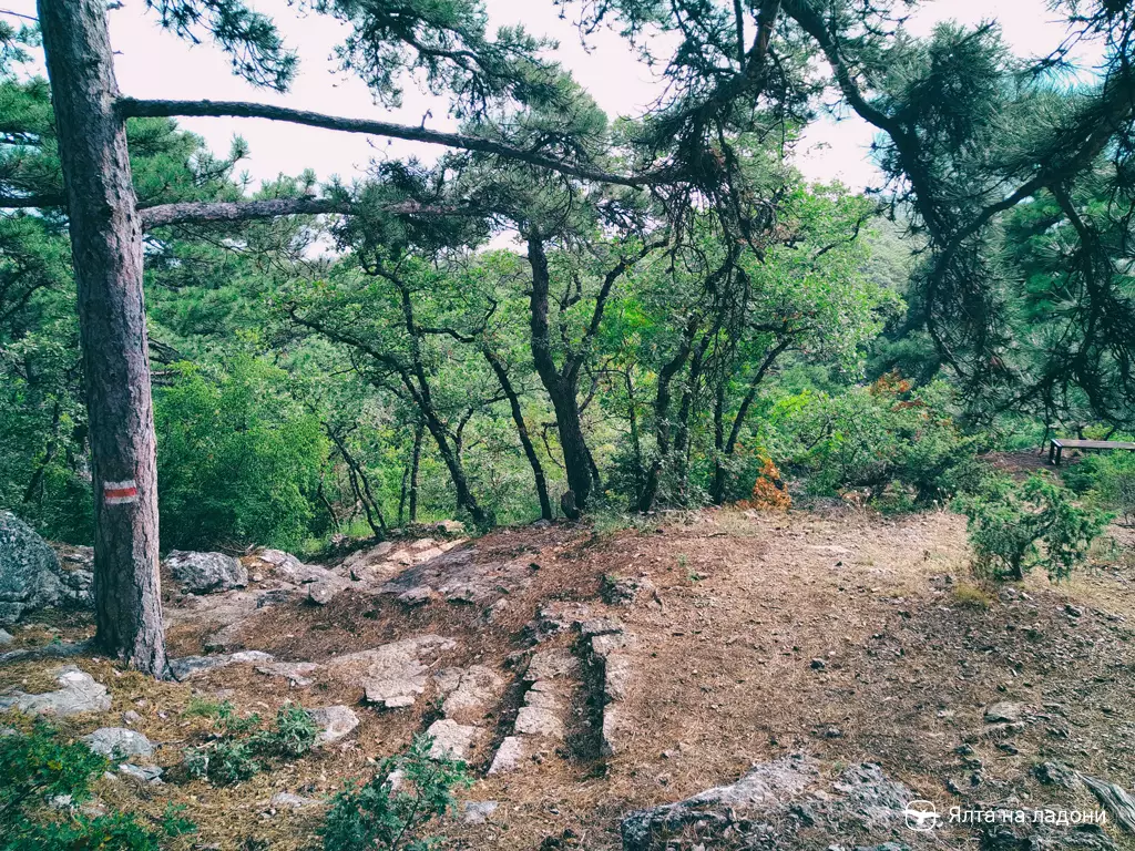 Старинные каменные ступеньки на массандровской тропе в Крыму