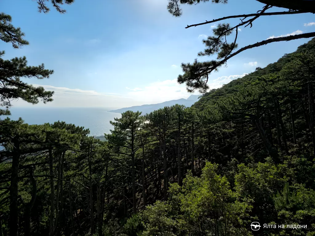 Вид на море и горы с тропы Палласа в Крыму