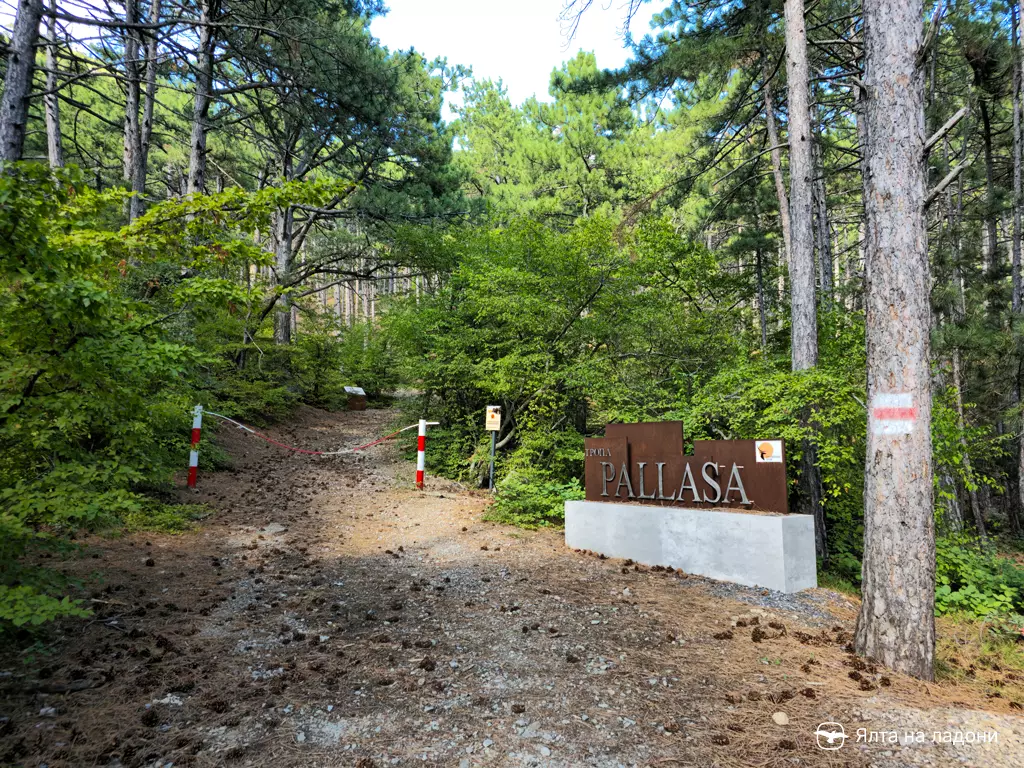 Начало тропы Палласа в Крыму, Ялта