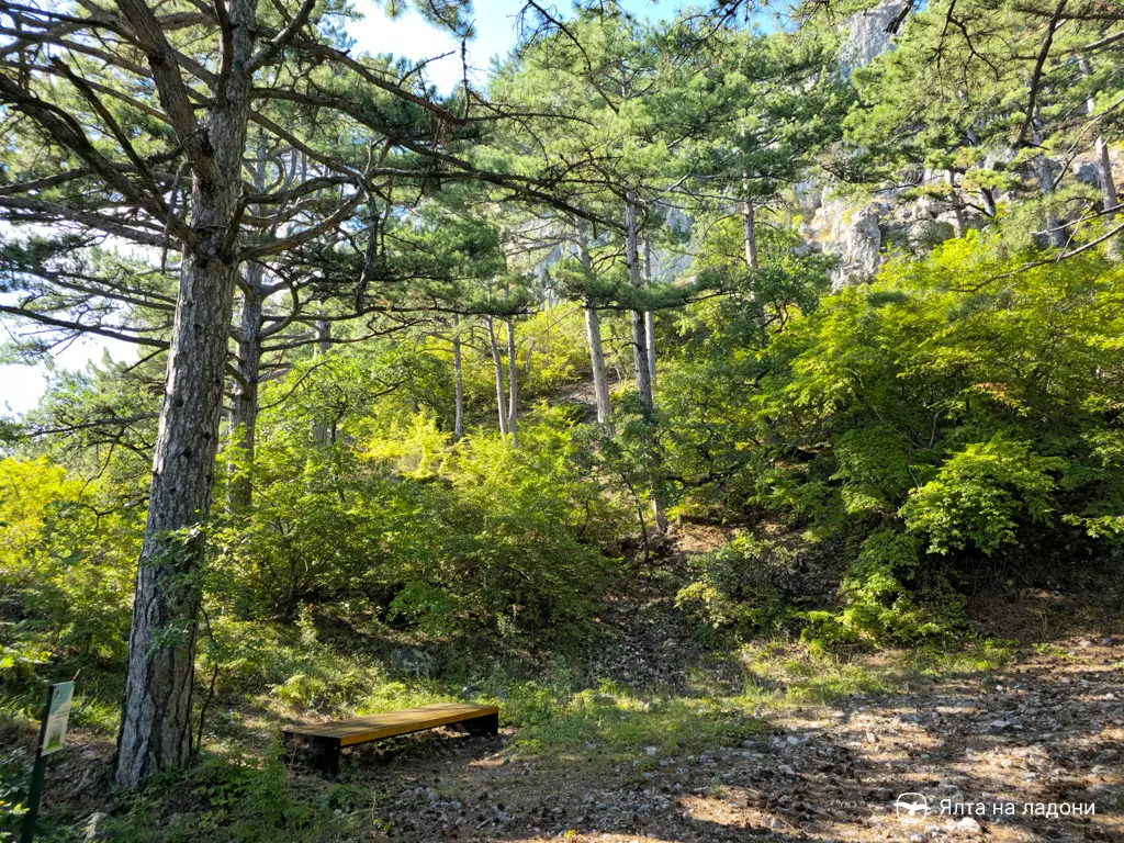 Первая скамейка для отдыха на тропе Паласса в Крыму