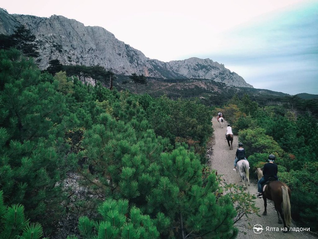 Конные прогулки по шаанкайской тропе над Алупкой в Крыму