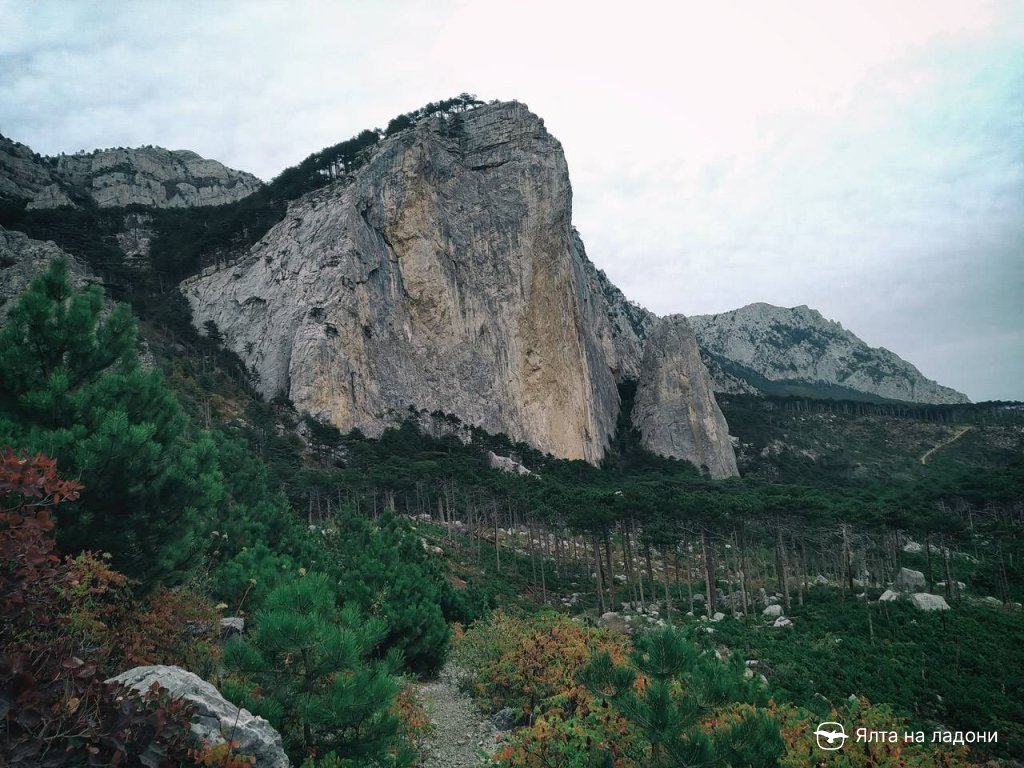 Лучший вид на гору Шаан-Кая в Крыму
