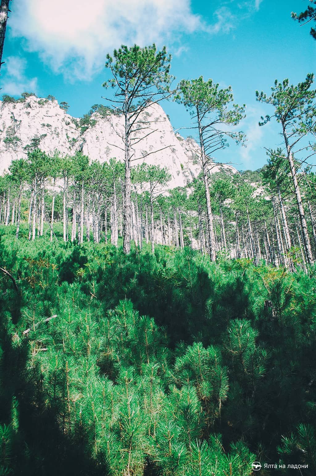 Вид на гору Вестрон с тропы Малай-Богаз