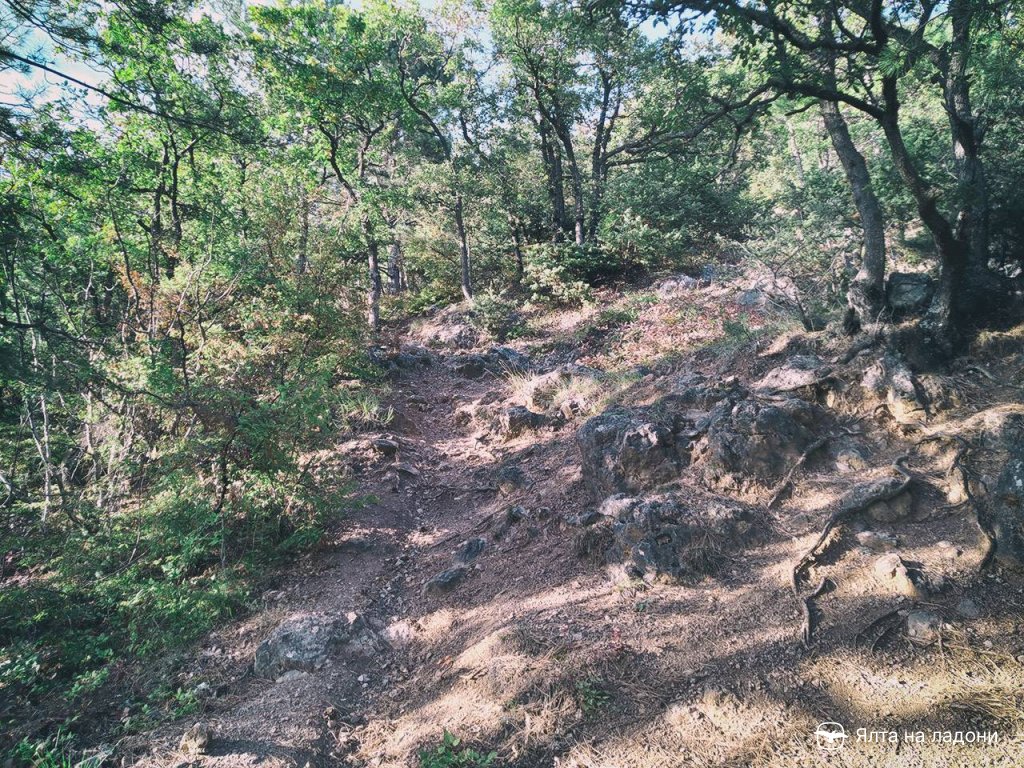 Каменная лестница в начале узенбашской тропы